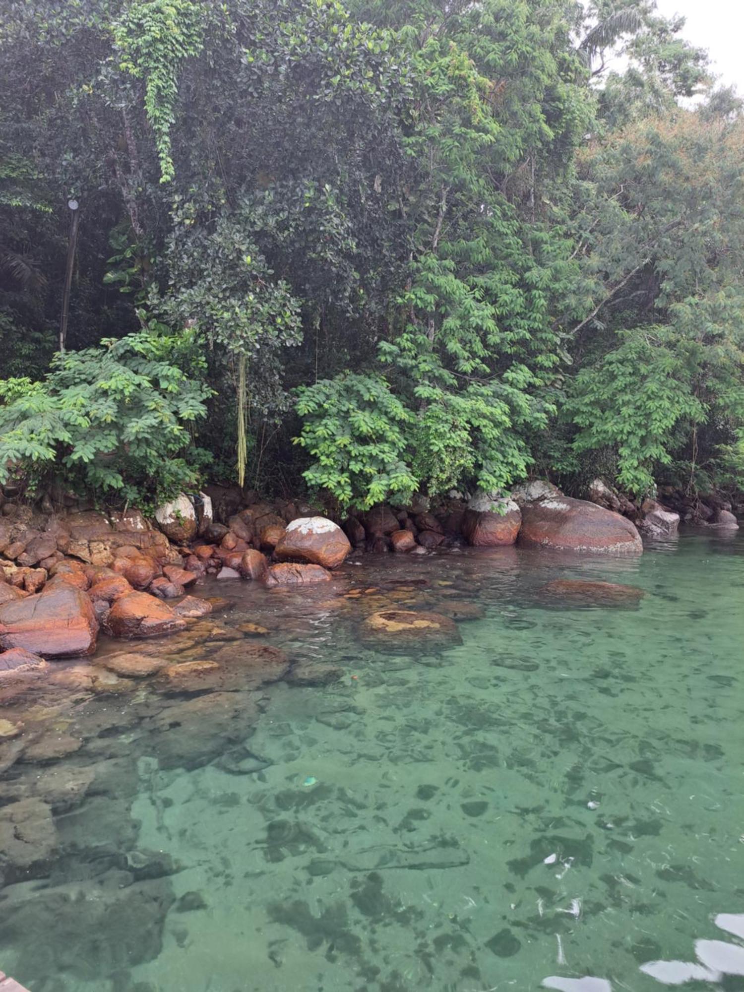 Glamping Sitio Das Tartarugas Angra dos Reis Bagian luar foto